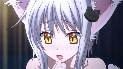 busty anime cat girl|The 15 Best Anime Cat Girl Characters (And Why We Love Them)